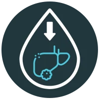 Icon of a blood droplet with a downward arrow and outline of a liver with a gear symbol representing improved liver function or decreased liver enzymes.